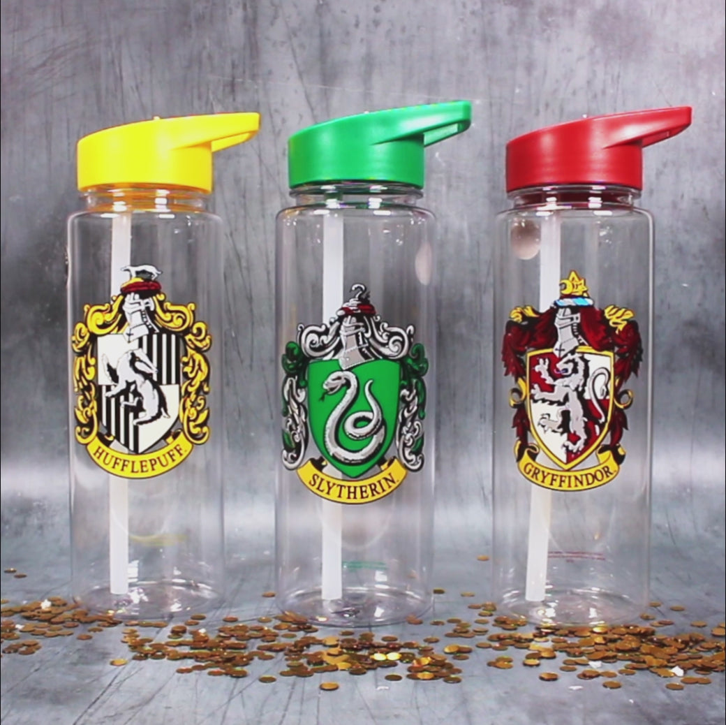 Water Bottle 700ml Harry Potter Ravenclaw