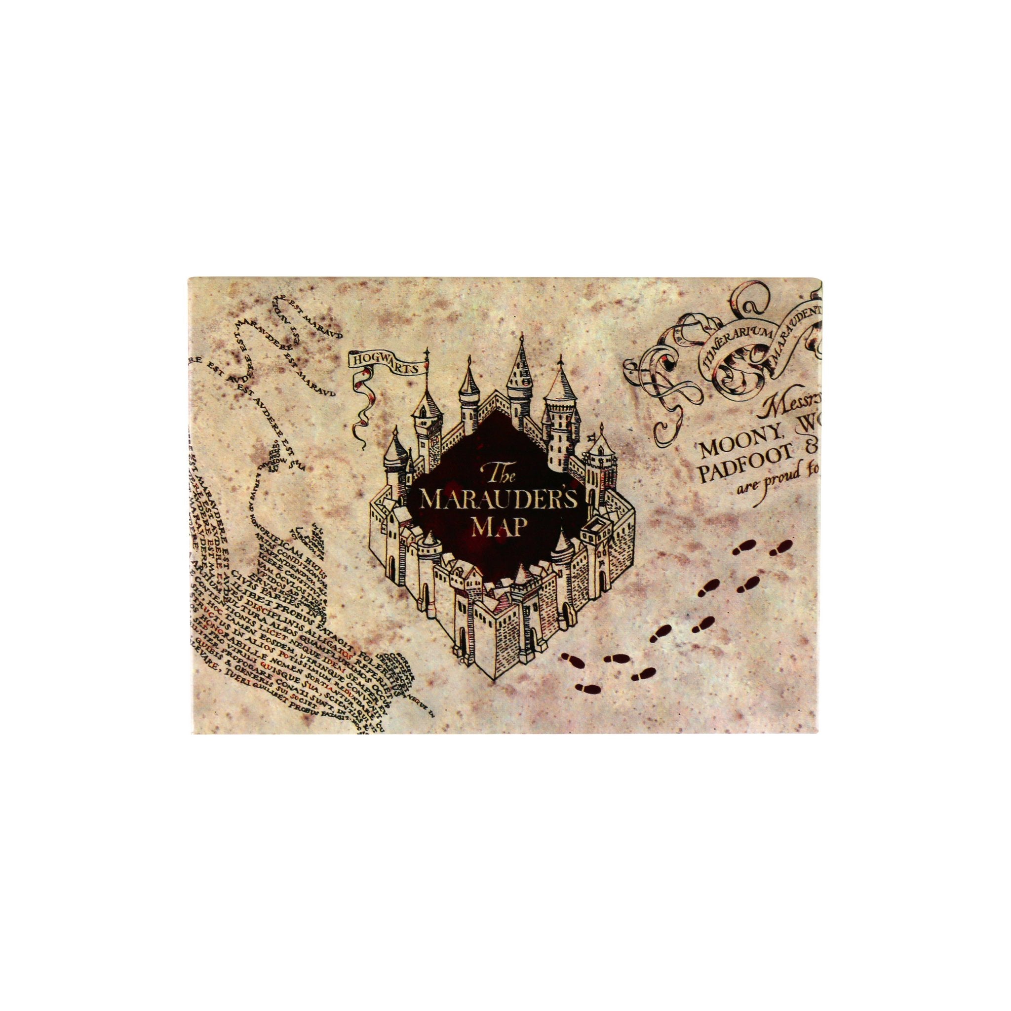 Harry Potter The Marauders Map Glasses Case